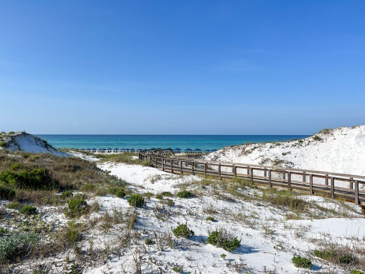 Watersound Beach boardwalk & dunes